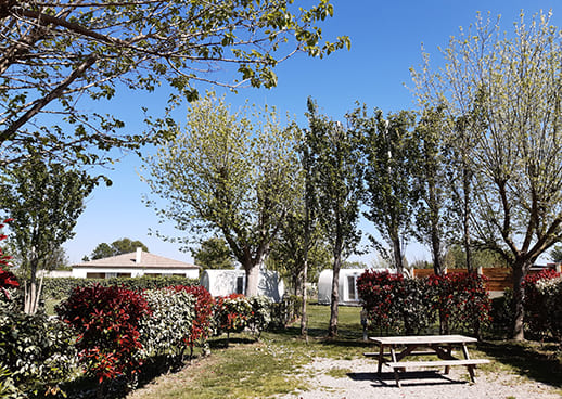 Tent pitch rental at Les Peupliers campsite in Colombiers near Béziers