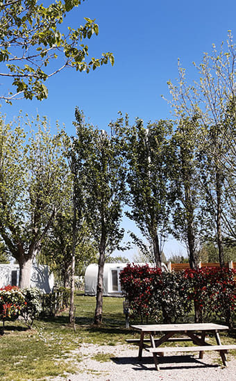 Motorhome pitches at Les Peupliers campsite in Colombiers