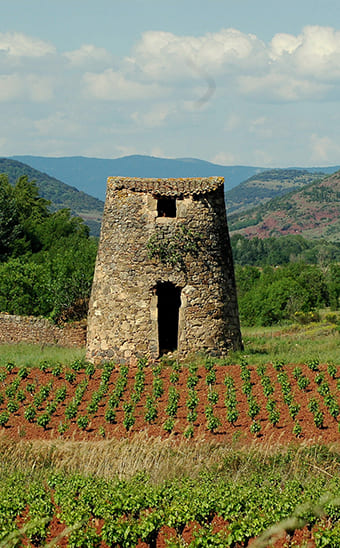 De wijngaarden en hun prachtige capitelles (stenen huisjes)