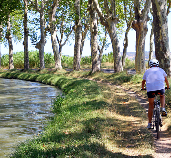 «Tarifa mochilero» para ciclistas: parcelas a precios bajos ofrecidas por el camping Les Peupliers, en Colombiers, cerca de Béziers